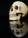 Human Skull With Mirror Image On Black Stock Photo