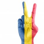 Flag Of Chad On Hand Stock Photo