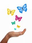 Hand With Butterfly Stock Photo
