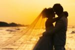 Groom And Bride In Love Emotion Romantic Moment On The Beach Stock Photo