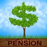 Pension Tree Indicates Finish Work And Banking Stock Photo