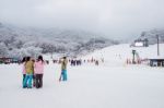Deogyusan,korea - January 23: Skiers And Tourists In Deogyusan Ski Resort On Deogyusan Mountains,south Korea On January 23, 2015 Stock Photo