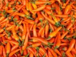 Orange Chilli Stock Photo