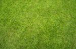 Green Grass Lawn Stock Photo