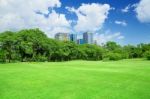 In City Parks, Lawns Stock Photo