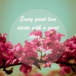 Meaningful Quote On Pink Bougainvillea Flower  Background Stock Photo