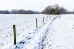 Snow Landscape With Path Between Meadows Stock Photo