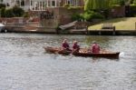 Rowing On The River Thames Between Hampton Court And Richmond Stock Photo