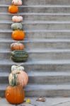 Pumpkins On Concrete Stairs Stock Photo