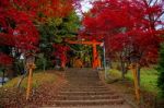 Torii Gate To Chureito Pagoda Stock Photo