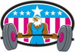 Bald Eagle Weightlifter Barbell Usa Flag Oval Stock Photo