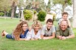 Affectionate Family Lying In The Park Stock Photo