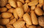 Almonds Close Up Isolated  Stock Photo