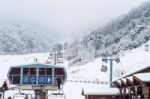 Deogyusan,korea - January 23: Skiers And Tourists In Deogyusan Ski Resort On Deogyusan Mountains,south Korea On January 23, 2015 Stock Photo
