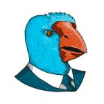South Island Takahe In Business Suit Drawing Stock Photo