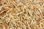 Fried Bamboo Larvas Stock Photo