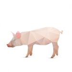 Abstract Pig Stock Photo