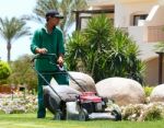 Gardener With Lawn Mower Stock Photo