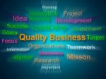 Quality Business Brainstorm Displays Excellent Company Reputatio Stock Photo