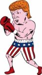 Donald Trump 2016 Republican Boxer Stock Photo
