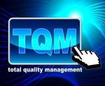 Total Quality Management Represents World Wide Web And Approval Stock Photo