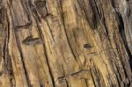 Wood Textured Stock Photo