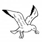 Isolated Gull Cartoon- Hand Drawn Illustration Stock Photo