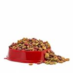 Multicolored Dry Cat Or Dog Food In Red Bowl Isolated On White B Stock Photo