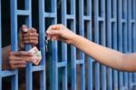 Prisoner Give Money For Freedom Stock Photo