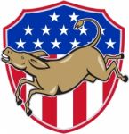 Democrat Donkey Mascot American Flag Stock Photo