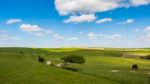 Sheep And Horses At Home In The Rolling Sussex Countryside Stock Photo