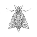 Elephant Hawk Moth Mandala Stock Photo