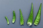 Different Size Of Aloe Vera Leaves On Gray Background. Skin Care Stock Photo