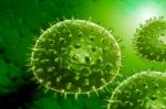 Influenza Virus Stock Photo