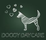 Doggy Daycare Indicates Pedigree Childcare And Preschool Stock Photo