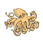 Giant Octopus Fighting Hydra Drawing Stock Photo