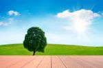 Single Tree,tree In Field And Blue Sky With Wooden Floor Stock Photo