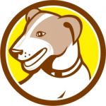 Jack Russell Terrier Head Circle Cartoon Stock Photo