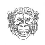 Humanzee Smiling Doodle Stock Photo