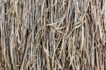 Pile Of Dry Straw Stock Photo