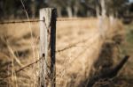 Rusted Sharp Timber And Metal Barb Wire Fence Stock Photo