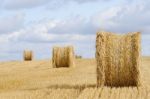 Straw Harvested Field Stock Photo