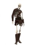 Standing Skeleton warrior Stock Photo