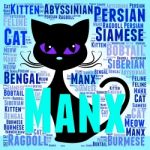 Manx Cat Represents Breeds Pets And Pedigree Stock Photo