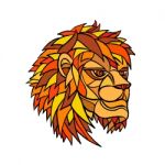 Male Lion Head Mosaic Stock Photo