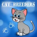 Cat Breeders Represents Husbandry Reproducing And Mate Stock Photo