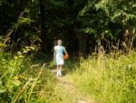 Little Girl Goes Out Of The Forest Stock Photo