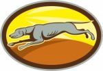 Greyhound Dog Jumping Side Oval Cartoon Stock Photo