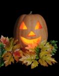 Glowing Carved Pumpkin In Autumn Leaves Stock Photo
