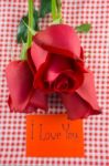 Red Rose With Message Card Image Of Valentines Day Stock Photo